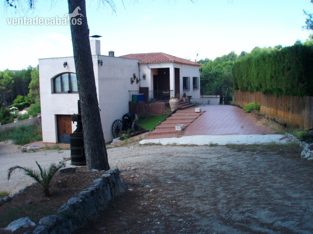 FINCA CON VIVIENDA PARA CABALLOS - Finca ecuestre