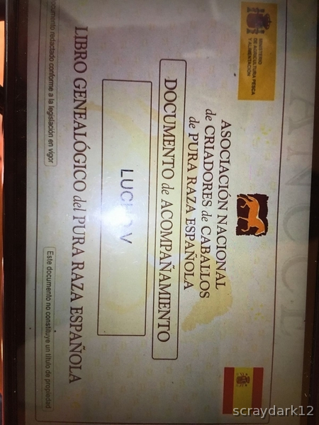 Pura Raza Española {TYPE}