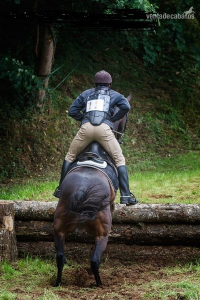 VENDO CABALLO CDE in 