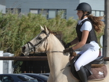 PONY D EN VENTA