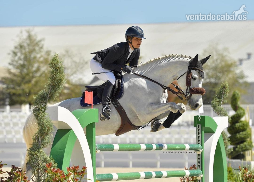 Saltador de obstáculos y superestrella de eventos in 