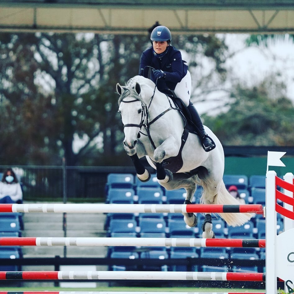 Saltador de obstáculos y superestrella de eventos - Holstien