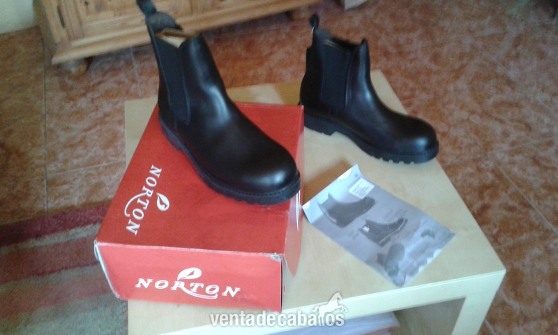 Botines equitación nuevos in 