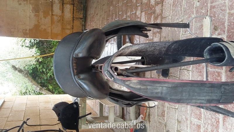 Vendo montura Mixta Zaldi Royal