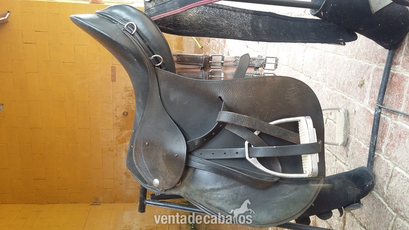  Vendo montura Mixta Zaldi Royal