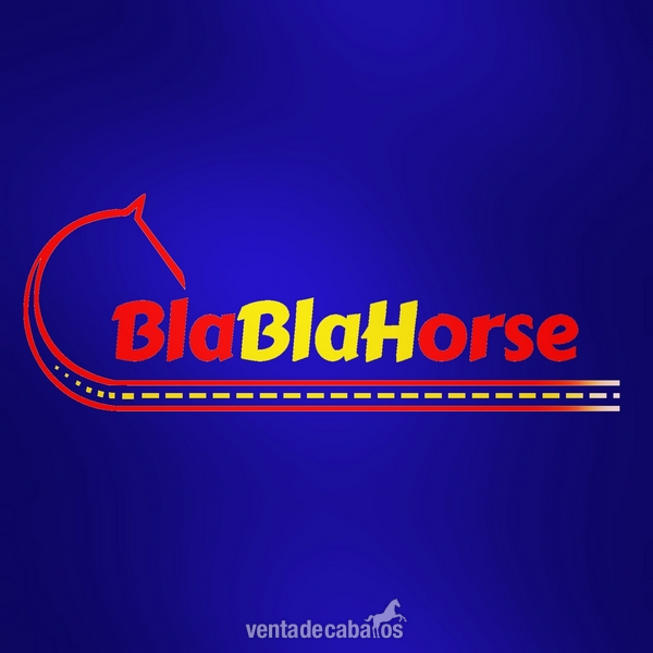  la web para el transporte de caballos