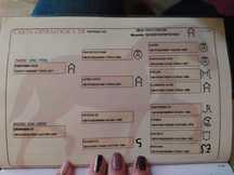 Potro PRE calidad