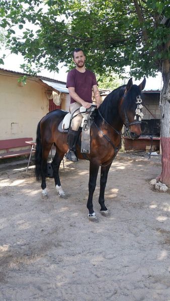 Pura Raza Española {TYPE}