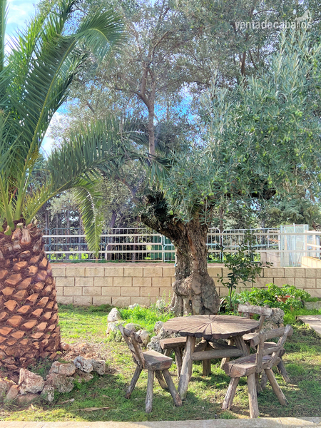 FINCA URBANA CON INSTALACIONES HIPICAS Y CODIGO REGA - Finca ecuestre in Valdetorres de Jarama