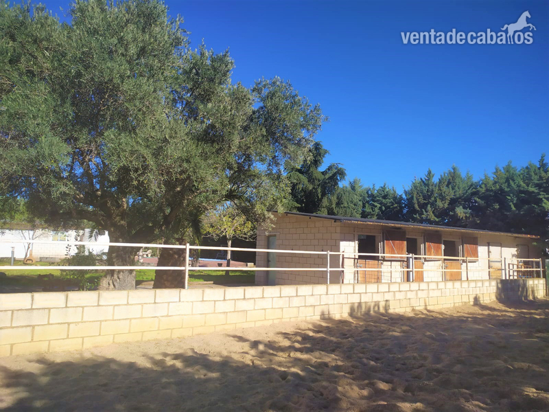 FINCA URBANA CON INSTALACIONES HIPICAS Y CODIGO REGA - Finca ecuestre