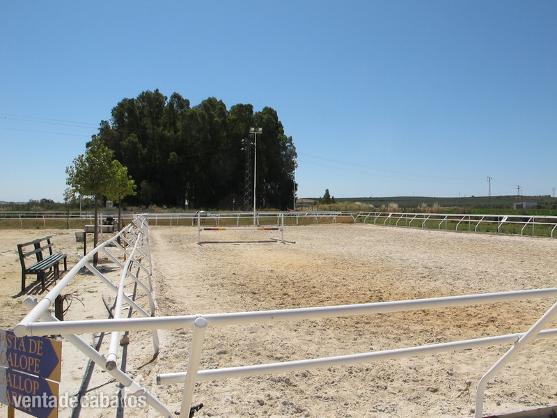 Precioso centro hípico