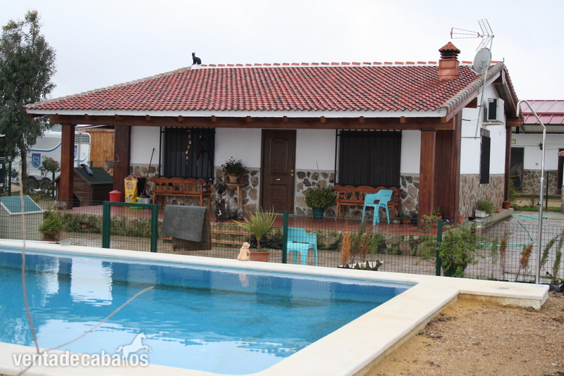 Precioso centro hípico - Finca ecuestre
