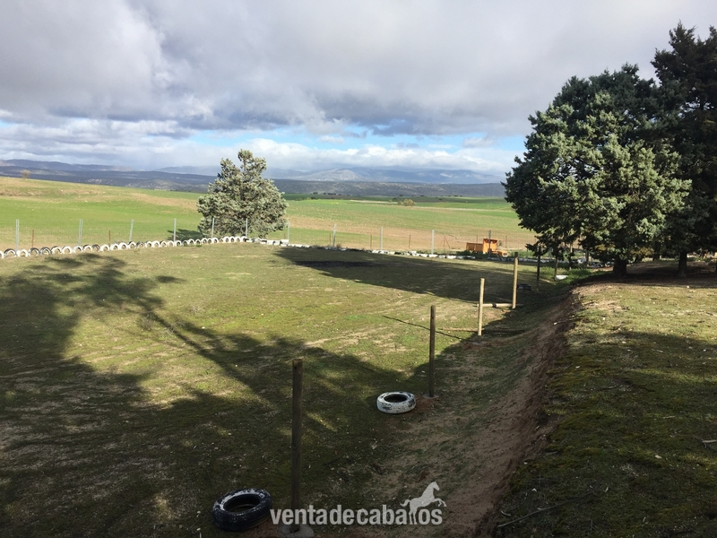 Finca en Brunete in Brunete