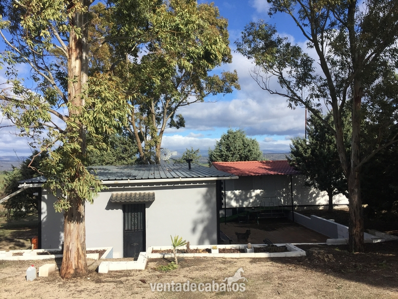 Finca en Brunete