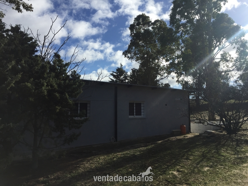 Brunete Finca en Brunete