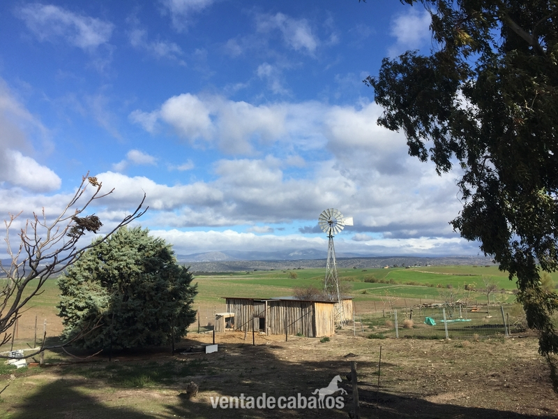 Finca en Brunete - Finca ecuestre in Brunete