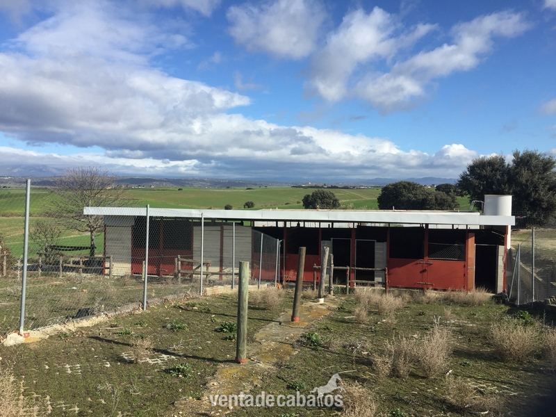 Finca en Brunete - Finca ecuestre