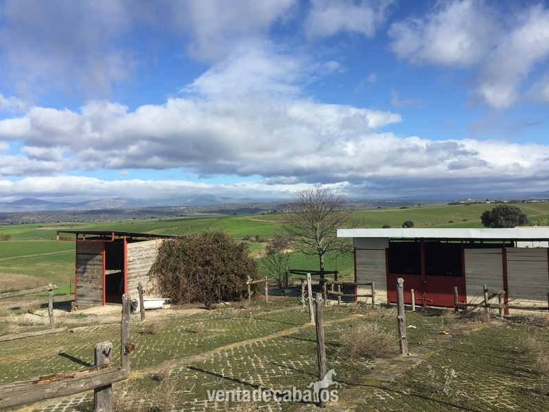 Finca en Brunete Brunete