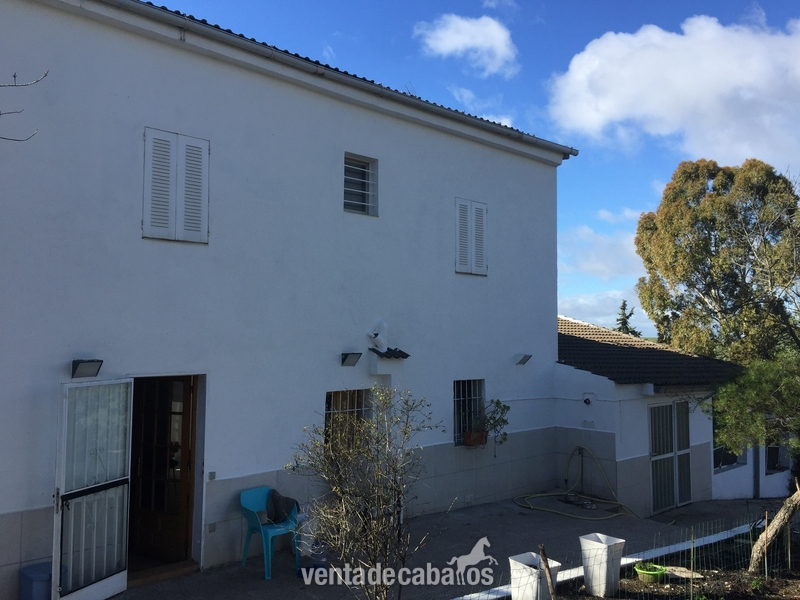 Finca ecuestre - Finca en Brunete