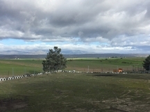 Finca en Brunete