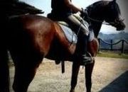 LINEAS DE RAID Y SHOW