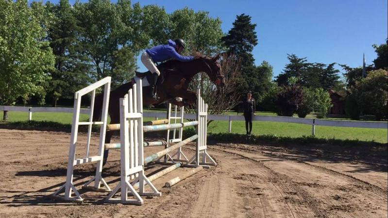Caballos Capados Silla Americano - Caballo de salto