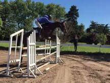 Caballo de salto