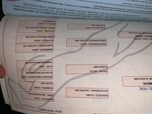 Hanoveriana con carta 