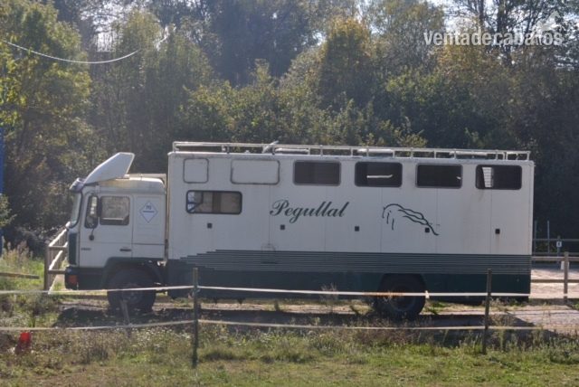 Camion MAN 6 Caballos 18,000 Euros in 