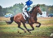 Caballo de Completo
