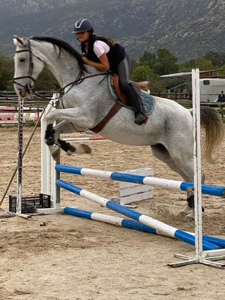 YEGUA PRINCIPIANTES Y SALTO in 