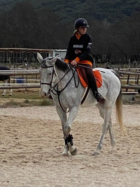 Lusitano {TYPE}
