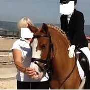 PONY C DE DOMA CLASICA in 