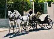 Calesa andaluza de cuatro ruedas restaurada – Lista para trabajar