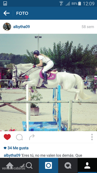 Caballo en venta in 