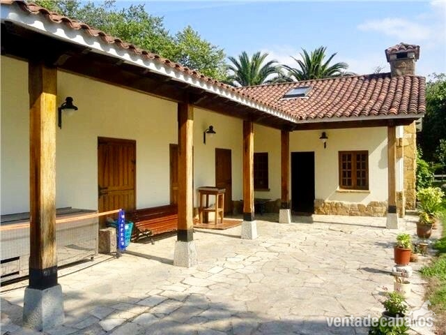 Gijón  Finca, chalet de lujo con cuadras y picadero.