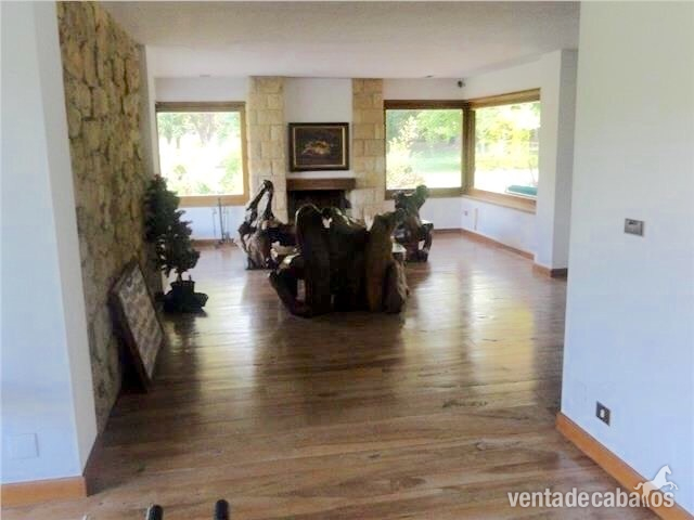 Finca, chalet de lujo con cuadras y picadero. - Finca ecuestre