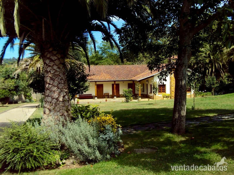 Finca ecuestre - Finca, chalet de lujo con cuadras y picadero.
