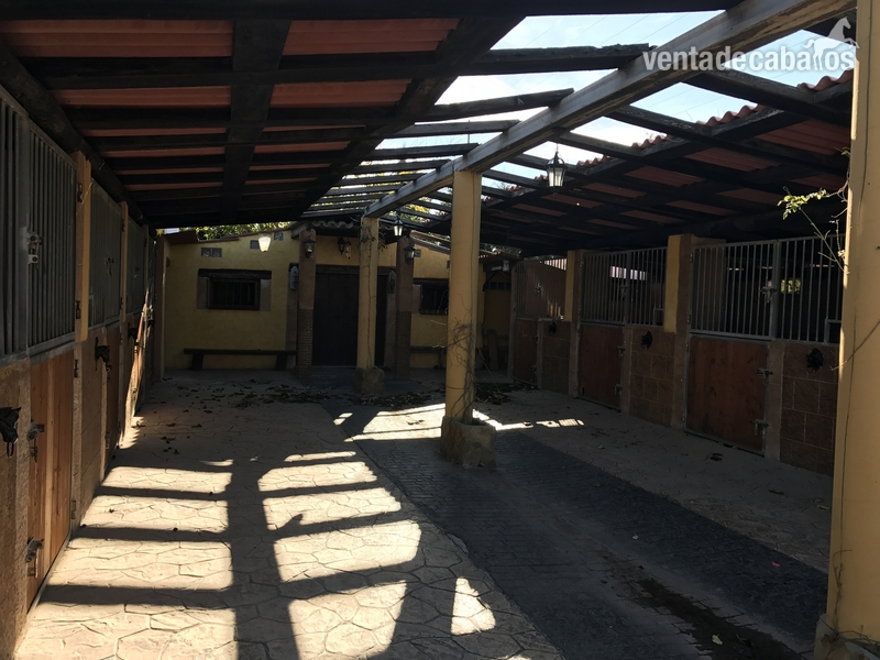 Se vende centro hípico muy bonito cerca de los puertos de caro  in Xerta