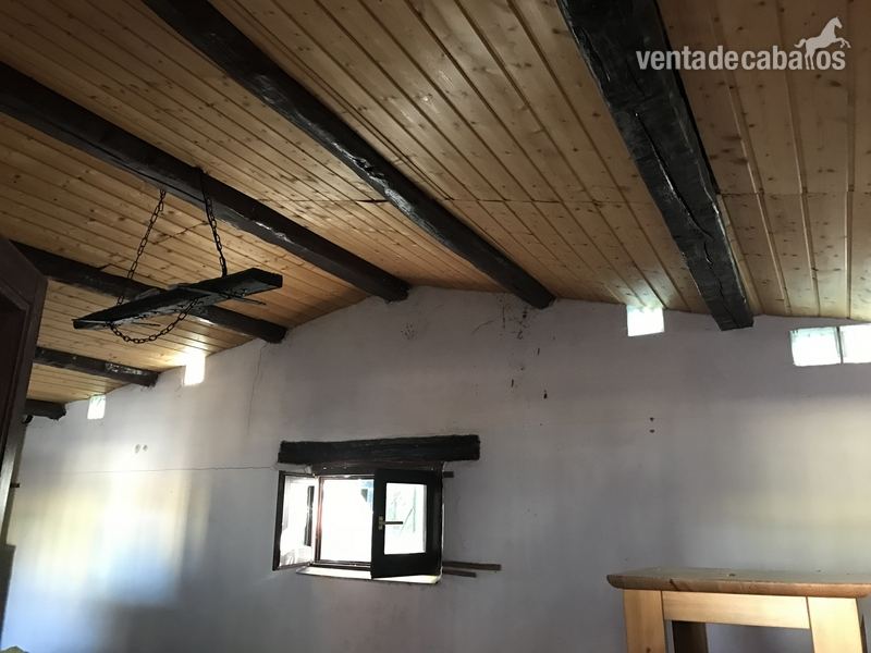 Se vende centro hípico muy bonito cerca de los puertos de caro 