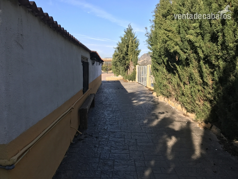 Xerta Se vende centro hípico muy bonito cerca de los puertos de caro 