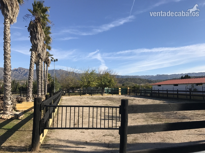Se vende centro hípico muy bonito cerca de los puertos de caro  - Hípicas y establos en venta in Xerta