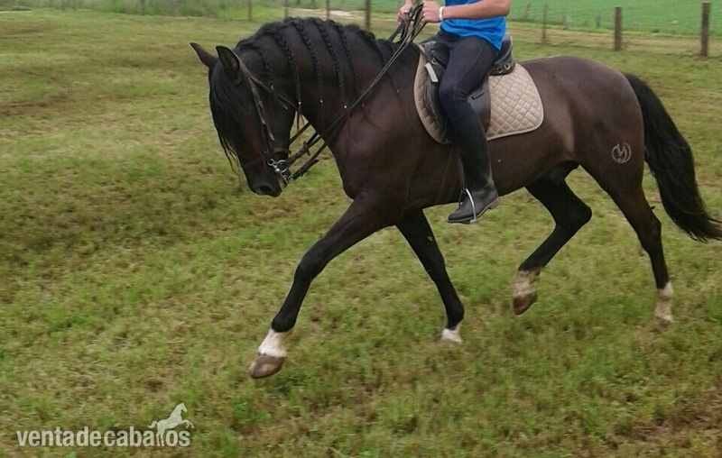 se vende pre in 