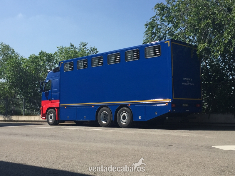 Se realizan transportes de caballos. in 