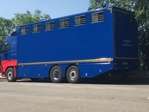 Se realizan transportes de caballos.