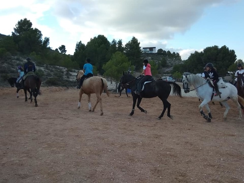 vendo yegua appaloosa - Appaloosa