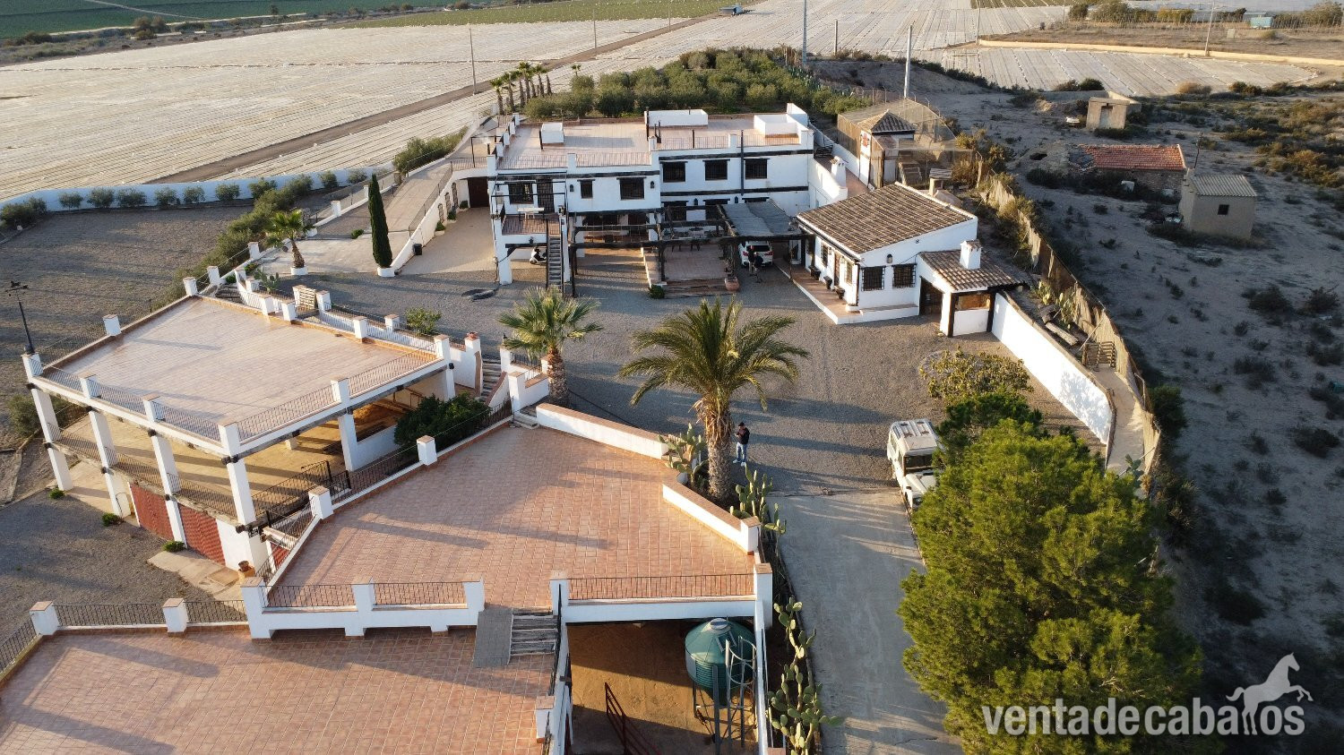 Finca de Ensueño: a 5 minutos del mar, ideal para turismo y caballos in Águilas
