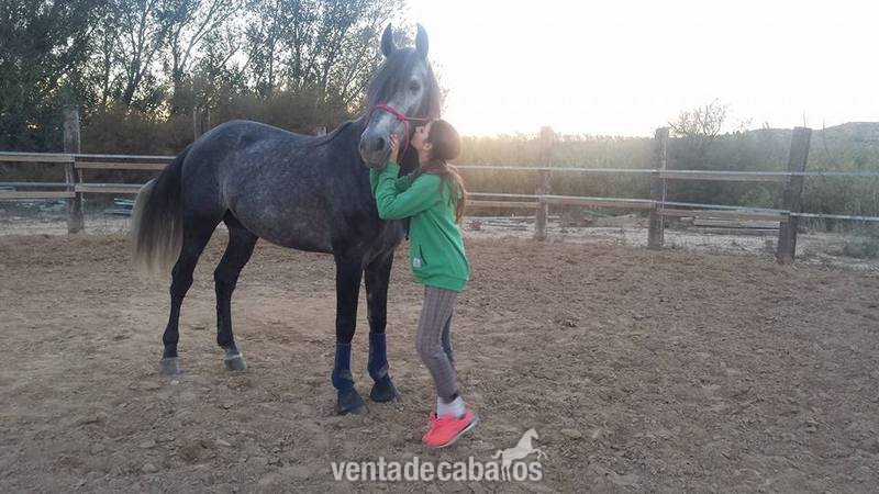 SE VENDE PRE DE 5 AÑOS in 