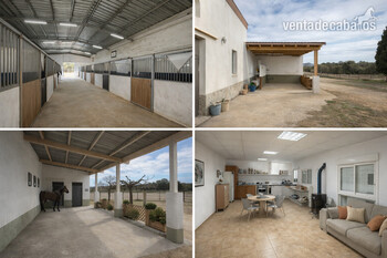FINCA ECUESTRE EN CASTELLÓN