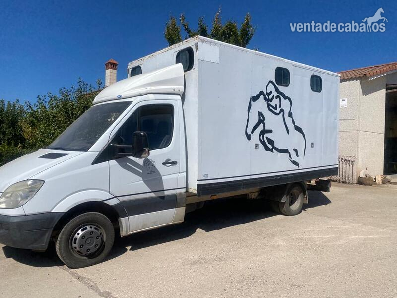 MERCEDES-BENZ in 